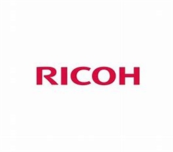 Ricoh 1599003 Wiring Harness